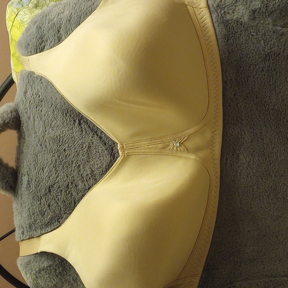 Bra